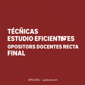 Técnicas de estudio eficientes para opositores docentes en la recta final
